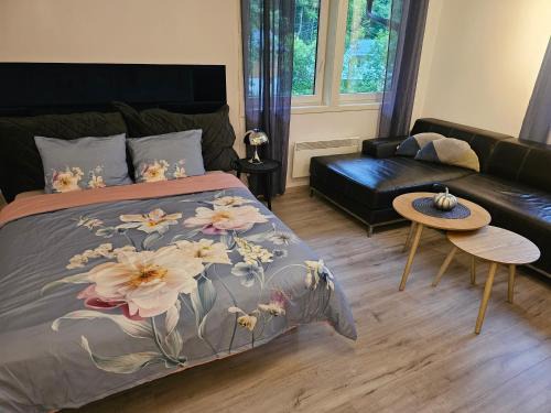 Dalen Apartment | Dalen studio 3