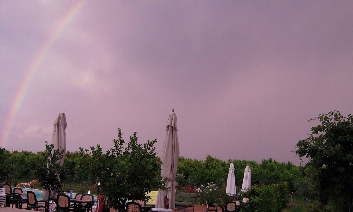 Faenza Other | La Prosciutta