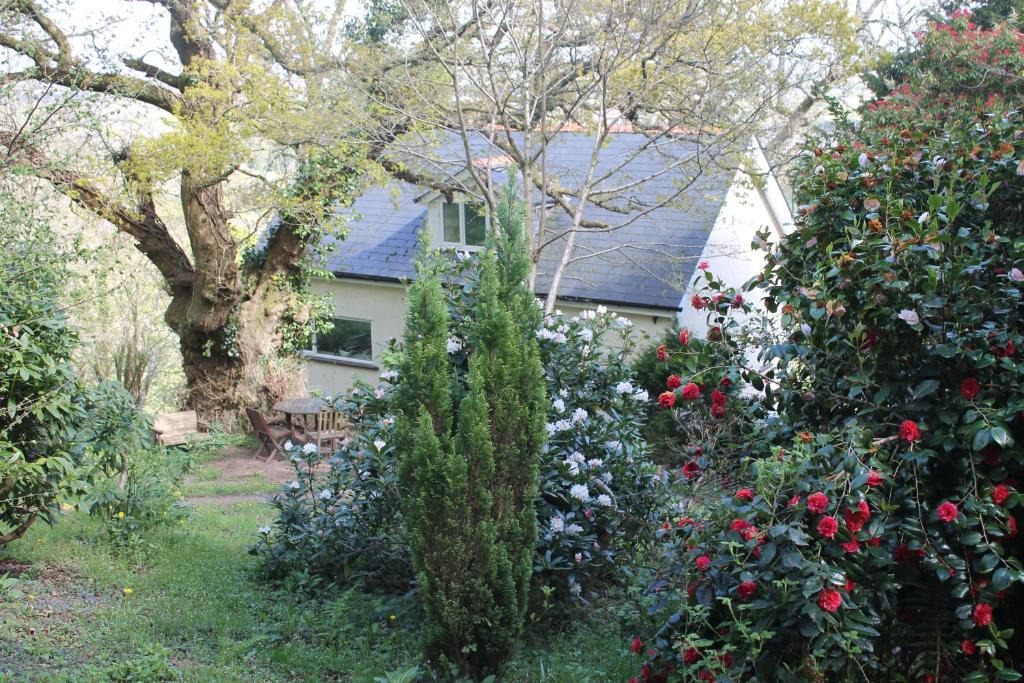 Rhiwbina Apartment | The Foretop