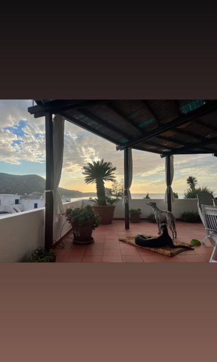 Giglio Campese House | Villa Isolella