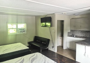 Walk out deck room 3, Minutes From the Lake, Boat Launch, Dorset Tower