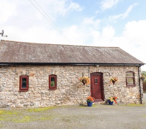 Newydd 