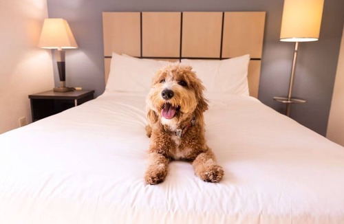 Braintree Hotel | 4 Units | Extended Boston Stay | Kitchen & Laundry | Near Aquarium & Fenway