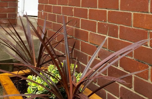 Wetherby Apartment | Apartment 61