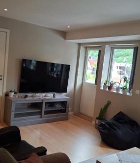Stryn Apartment | apartment