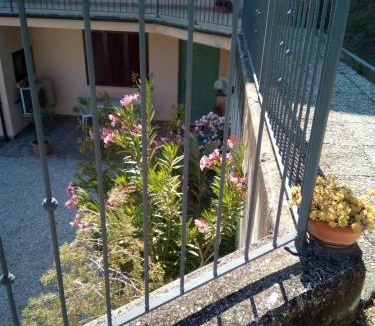 Morrovalle Bed & Breakfast | B&B Severini