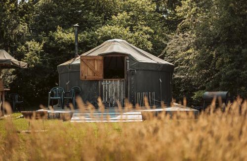 Haslemere Other | Beech Yurt
