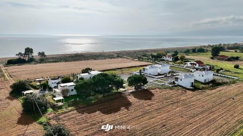 Messini House | Boho Natural Beachfront Detached House