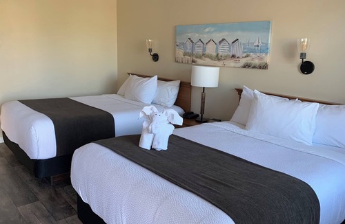 Summerside Hotel | Cairns Motel