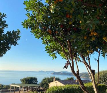 Villanova Monteleone Hotel | PedrAmare Suite