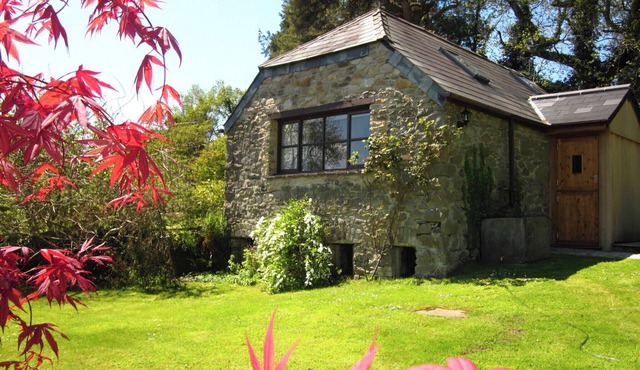 1 bedroom accommodation in Gunnislake