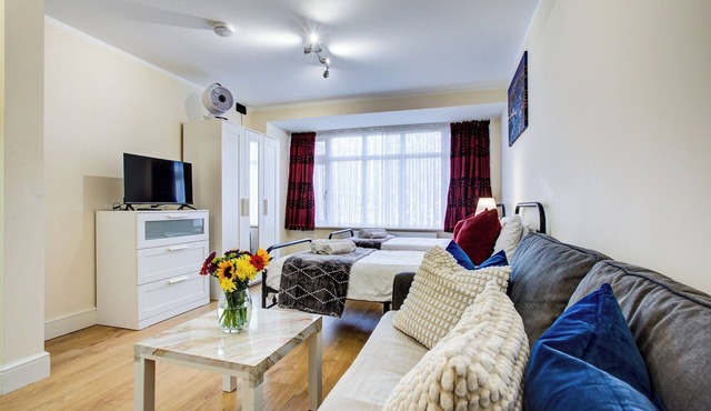 2-Bed Studio - Sleeps 2 - Pets - free parking