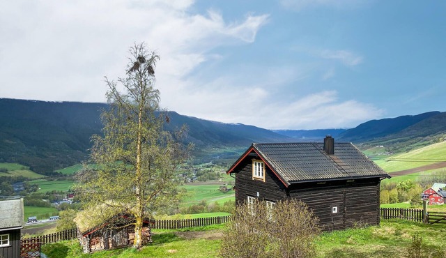 2 bedroom awesome home in Dovre