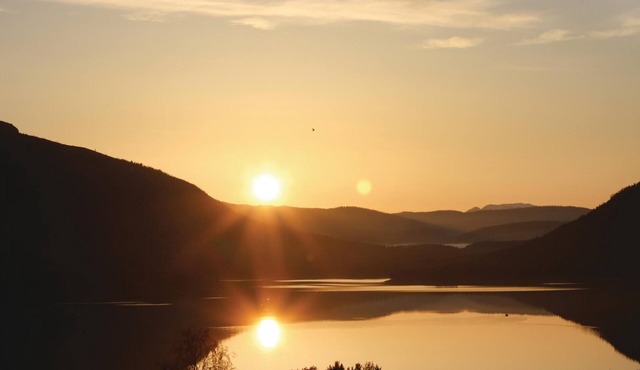 3 bedroom accommodation in Fyresdal
