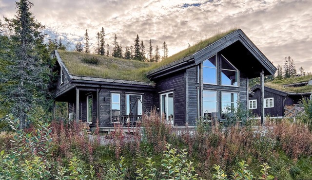 4 bedroom accommodation in Eggedal