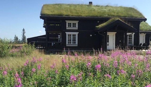 4 bedroom awesome home in Eggedal