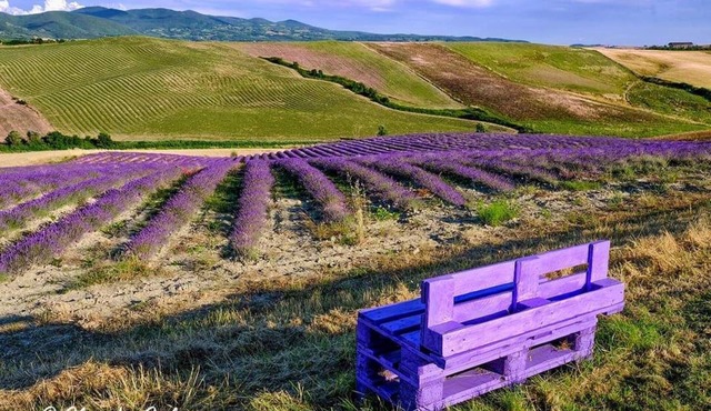Agriturismo Mandriato by Toscana Family Holidays