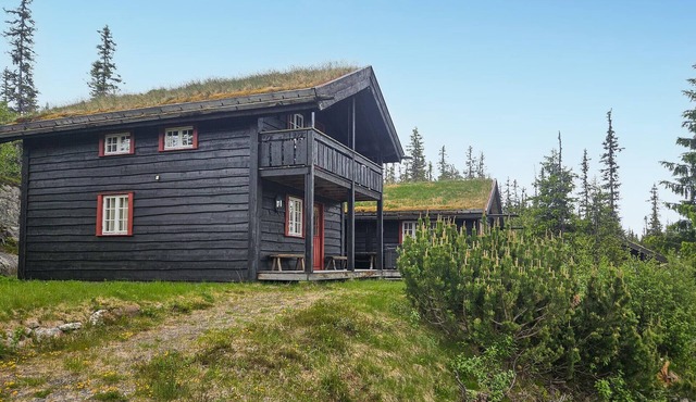 Amazing home in Eggedal with sauna
