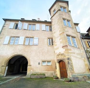 Appartement Renaissance classé - Charme alsacien