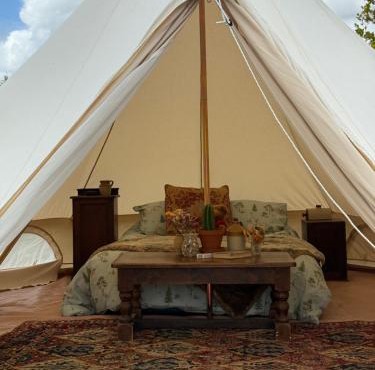 Apuldram Roses
