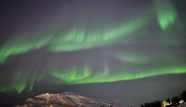 Arctic Nine - Sentralt hus på øya