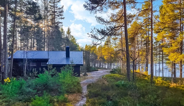 Awesome home in Fyresdal with kitchen