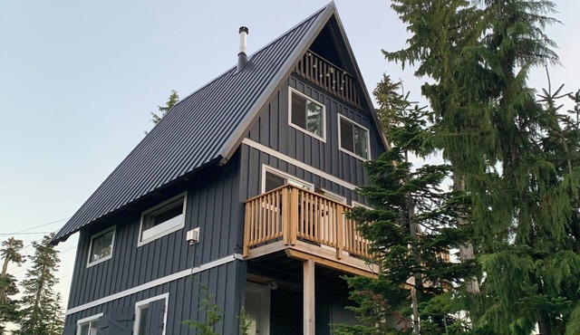 Cabin @ Mt Washington. Beautiful views/two patios. "SAUCERBOY'S SHACK