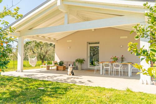 Casa RiVa - Among olive trees and the Tuscan coast