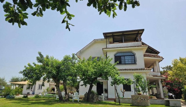 Four Olives B&B