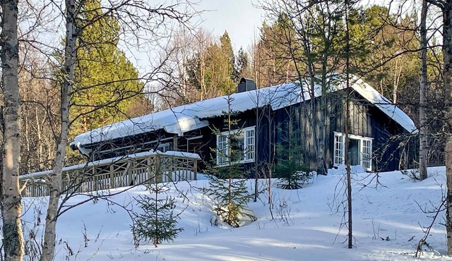Gorgeous home in os i østerdalen