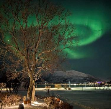 Hammergaarden - Kårstua - Panoramic Arctic Stay