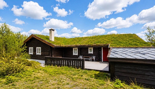 Large, cozy, and spacious cabin in Geilo