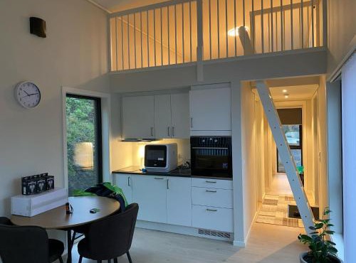 Moderne minihus