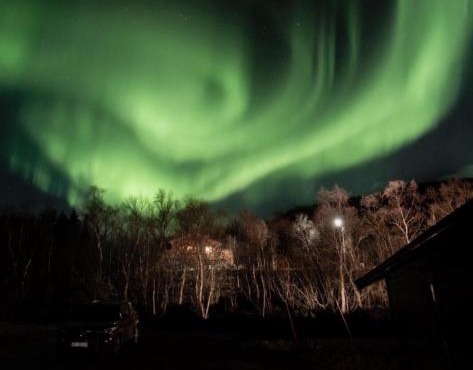 Moose Island- Lofoten, Tromsø, Senja in one step