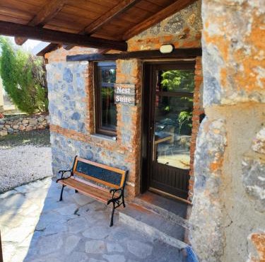 Nest Suite
