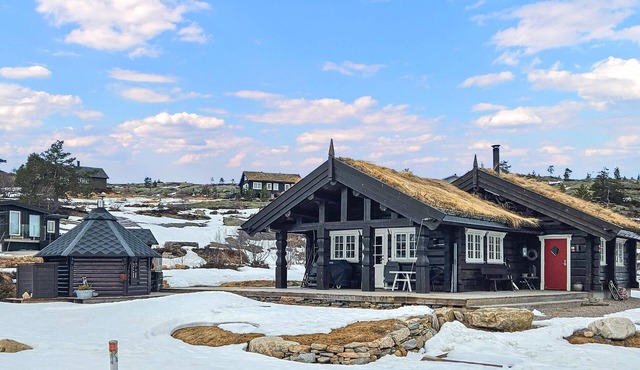 Nice home in Drangedal with sauna