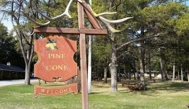 Pine cone Motel