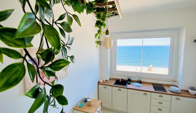 Seafront Holidays & Workstays