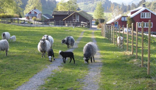 Skjerping gård