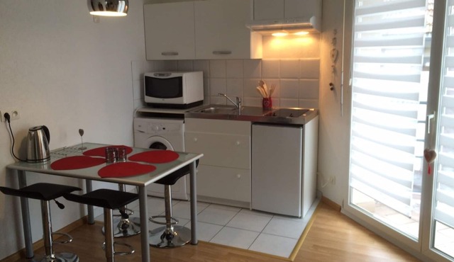 Small cozy nest in Obernai.