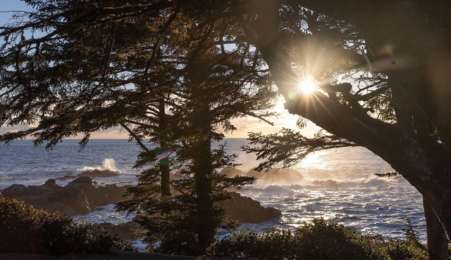 Steps to the Beach & Wild Pacific Trail! ⎮Sandpiper