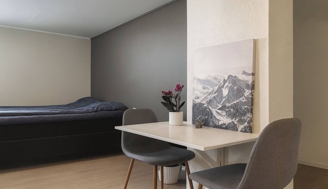 Studio-Sleeps 4-City Centre-Parking-EVCharger