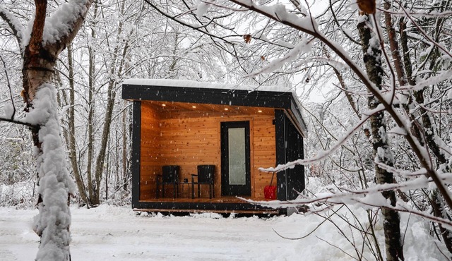 Timber Lodge - Alpha Mountain Lodging