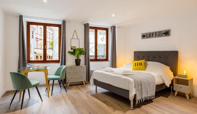 Travel Homes - L'Arsenal, studios en hyper centre
