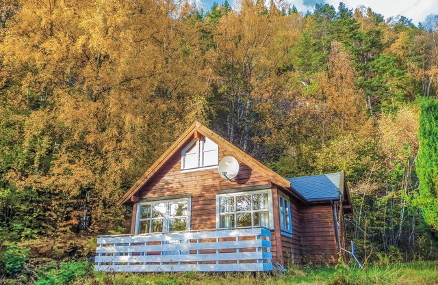Vallavik 