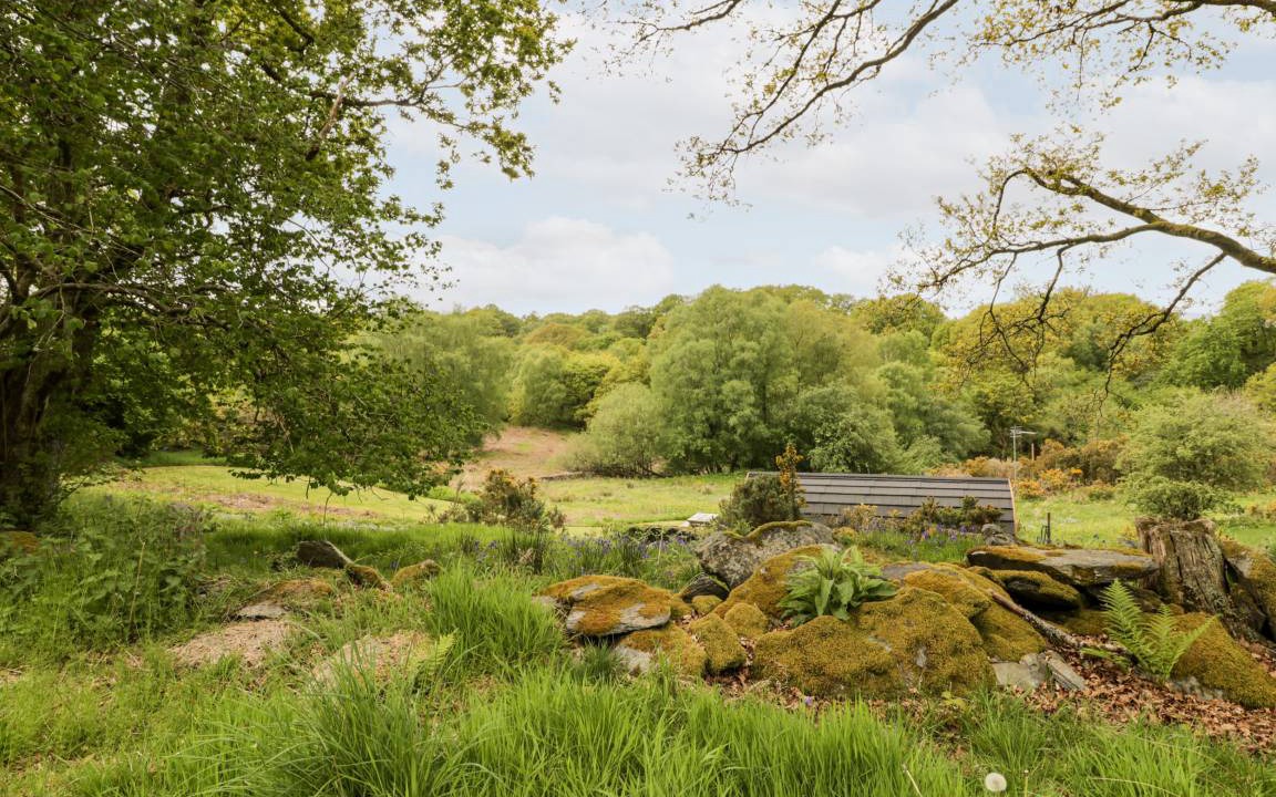Photo of Others in Snowdonia National Park