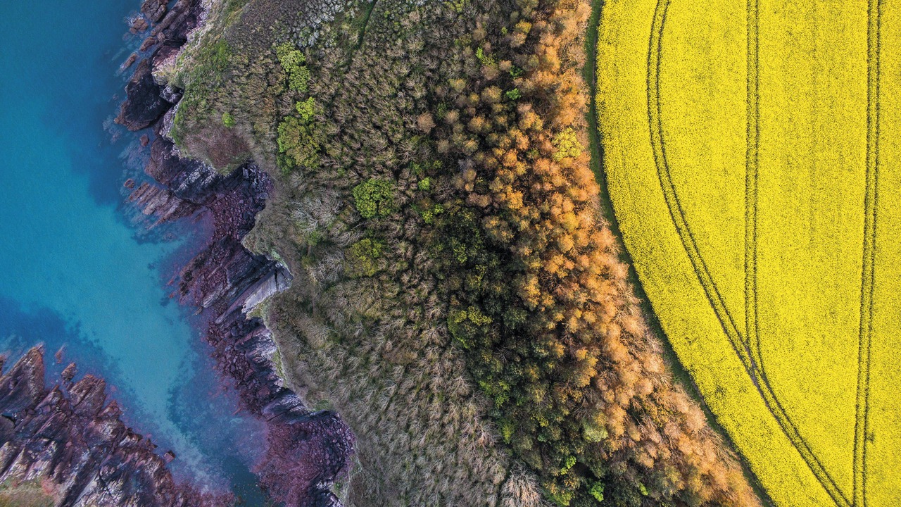 Photo of Outdoor in St Ishmaels