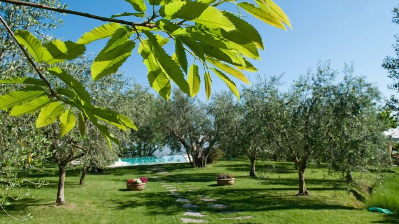 Photo of Outdoor in Nottola