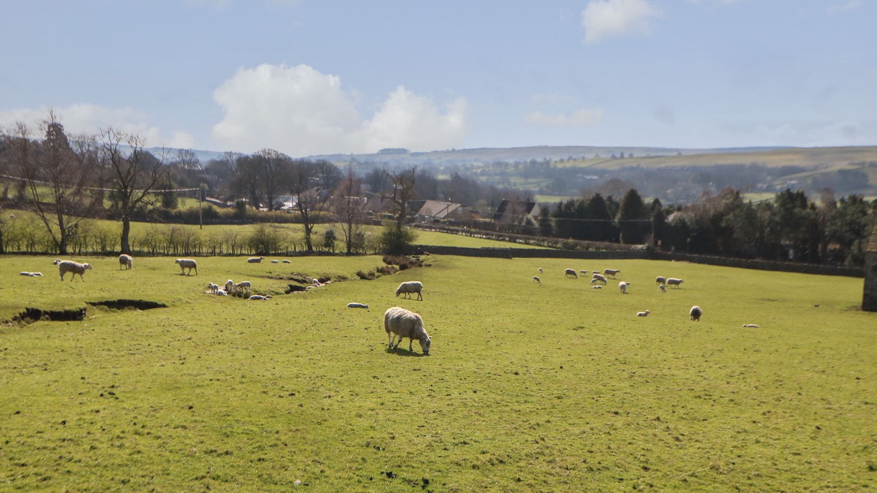 Photo of Others in Barnard Castle
