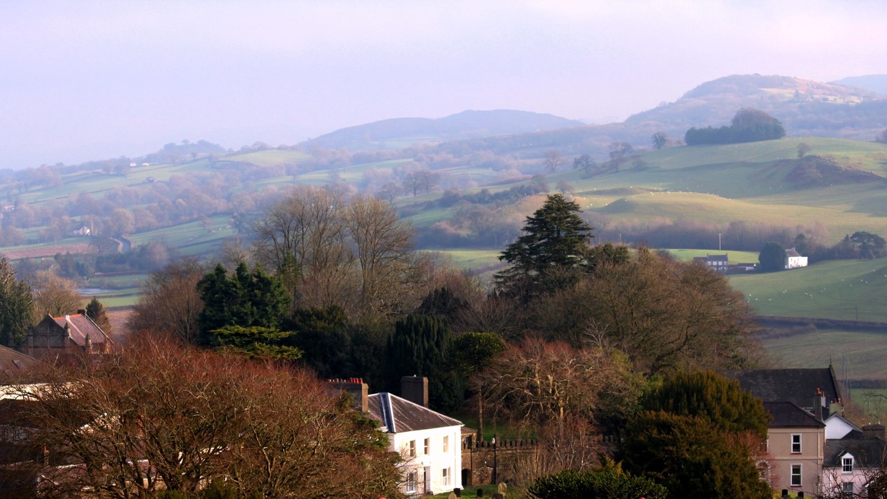 Photo of Others in Pentrefelin
